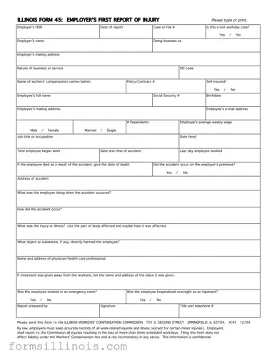 Free Illinois 45 Template