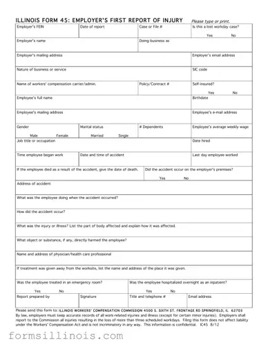 Free Illinois First Report 45 Template